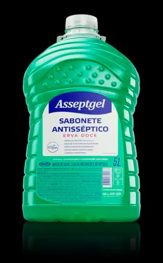 Sabonete Antisséptico Asseptgel Erva Doce — erva doce 5l