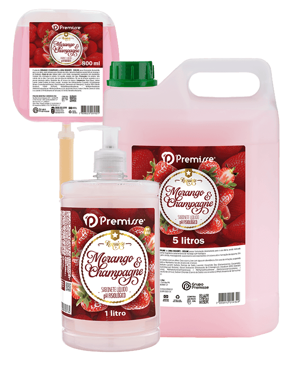 Morango com Champagne — Premisse